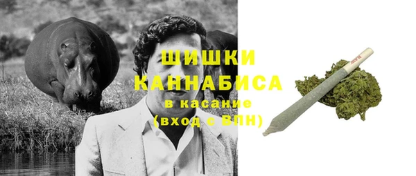 гидра Армянск