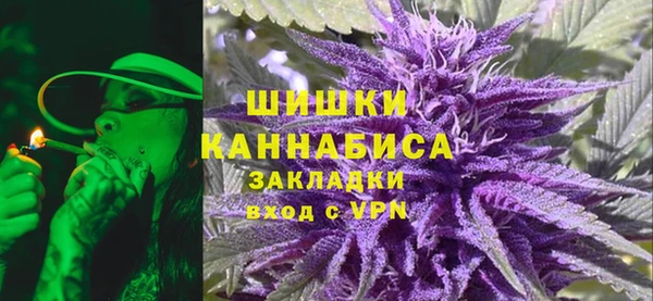 ешки Аркадак