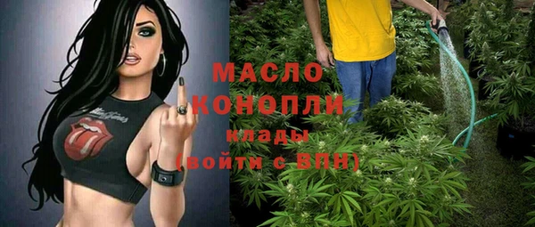 гидра Армянск